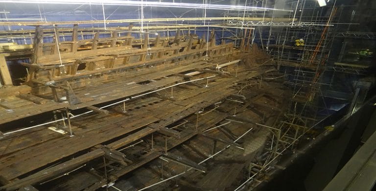 Analytical science Secrets of the Mary Rose