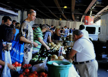 Baltimore Food Systems A Case Study of Urban Food Environments