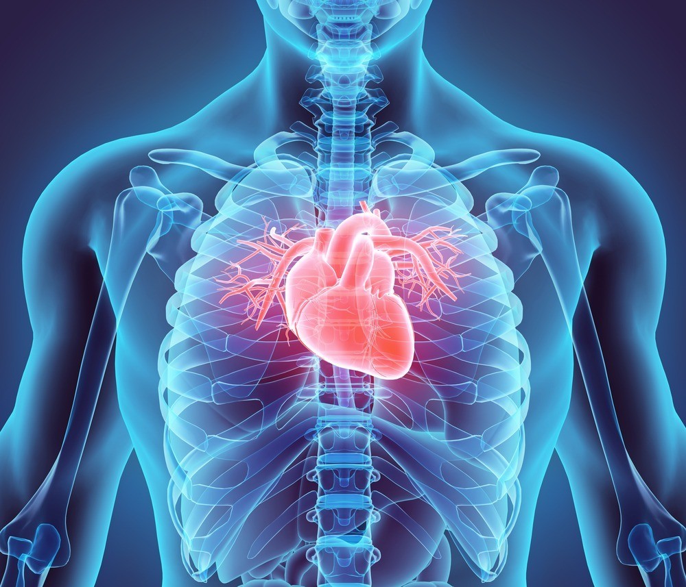 Cardiovascular Disease Awareness