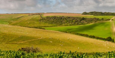 Exploring Thomas Hardy's Far From the Madding Crowd Image