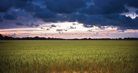 Land grab an environmental issue