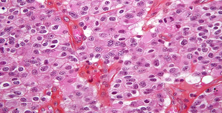 Introduction to histology Image