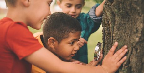 Boys studying a tree trunk with a magnifying glass