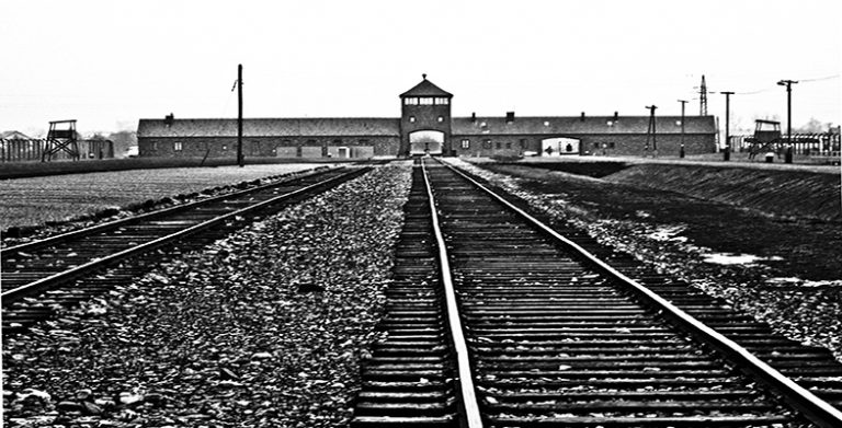 The Holocaust image