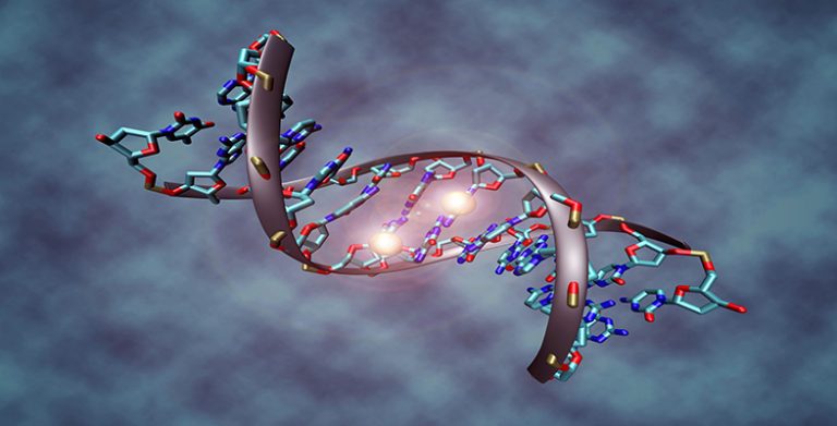 Nucleic acids and chromatin