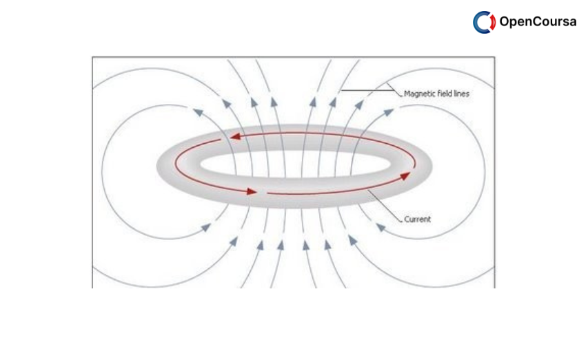 Bioelectricity