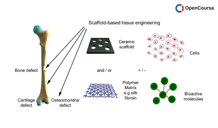 Biomaterials-for-Bone-Tissue-Engineering-Applications