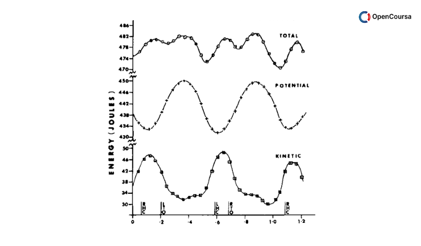 Mechanics-of-Human-Movement