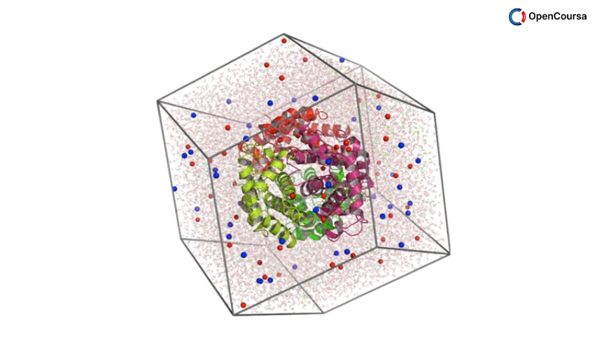 An-Introduction-to-Molecular-Dynamics