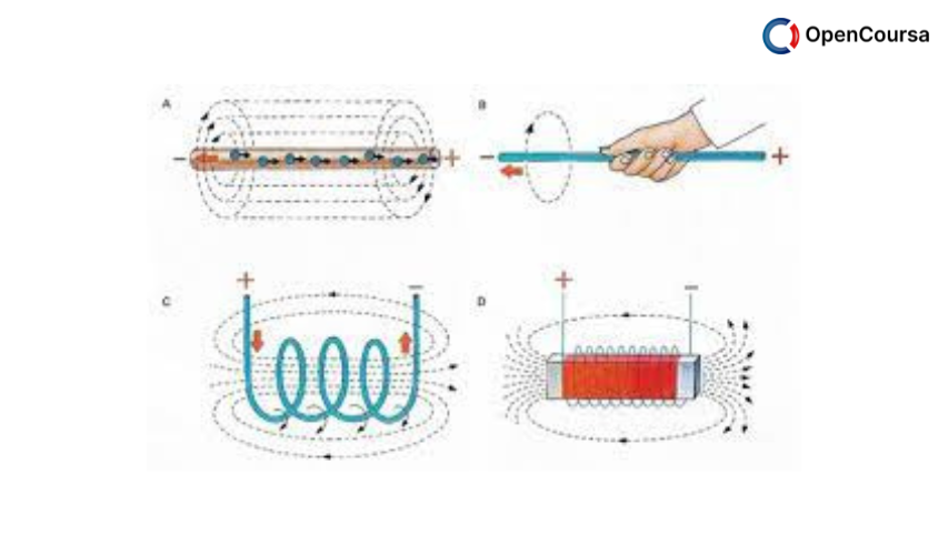 Electromagnetic-Fields