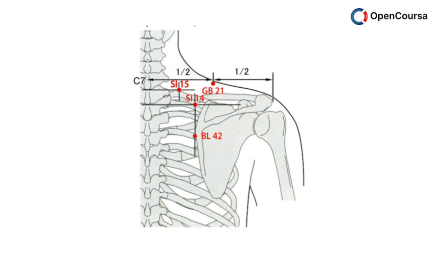 Acupuncture-Clinical-Practice-Particular-Techniques-and-Special-Issues