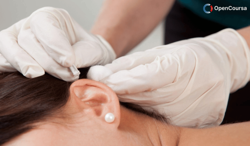 Auricular-Therapy-Diagnosis-and-Treatment-Article