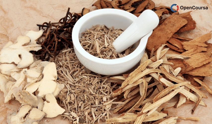 Chinese-herbal-medicines-Article