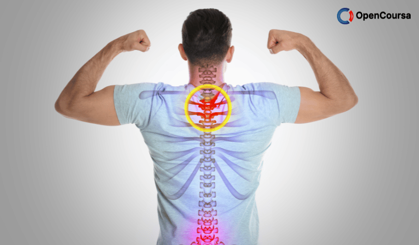 Chiropractic-assessment-of-muscle-function-1