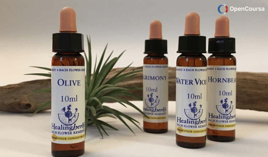 Healingherbs-Flower-Essences-of-Dr