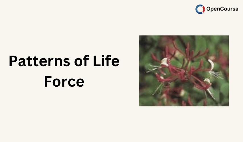 Patterns-of-Life-Force