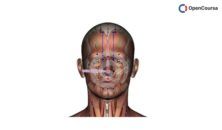 The-60-command-points-of-acupuncture