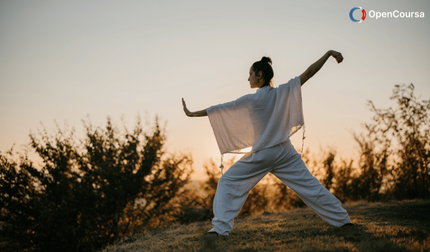 Tai-Chi-Chuan-in-Medicine-and-Health-Promotion