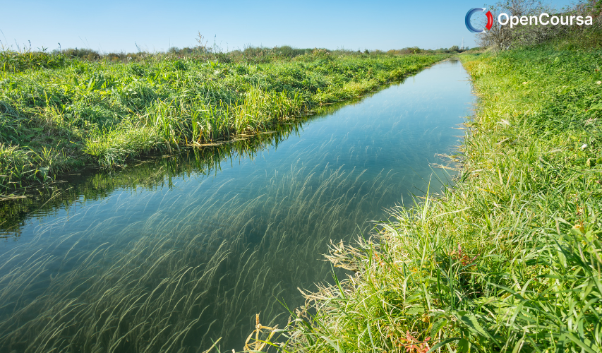 The-handbook-for-Management-and-Restoration-of-Aquatic-Ecosystems-in-River-and-lake-Basins