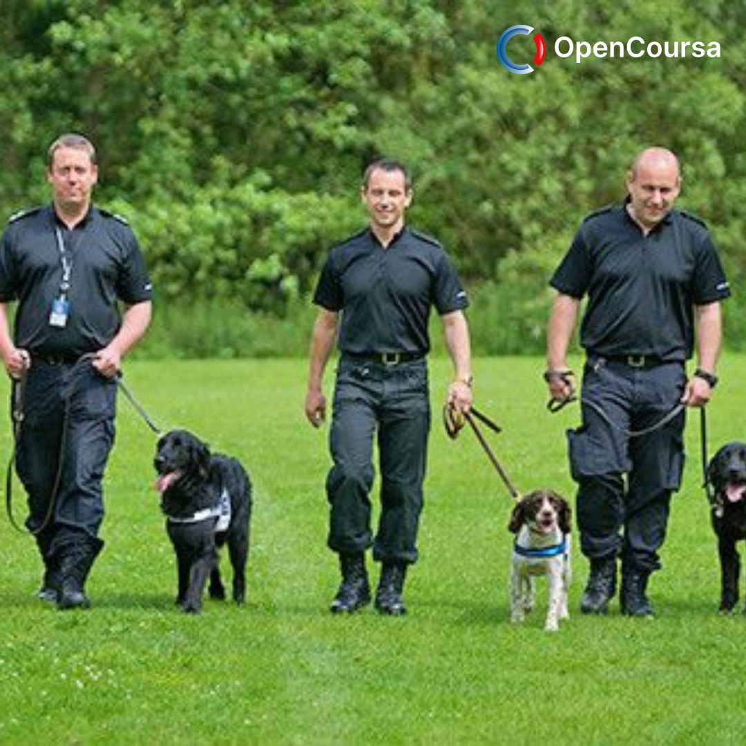 Training-Rex-in-the-City-Basic-Obedience-for-Dogs